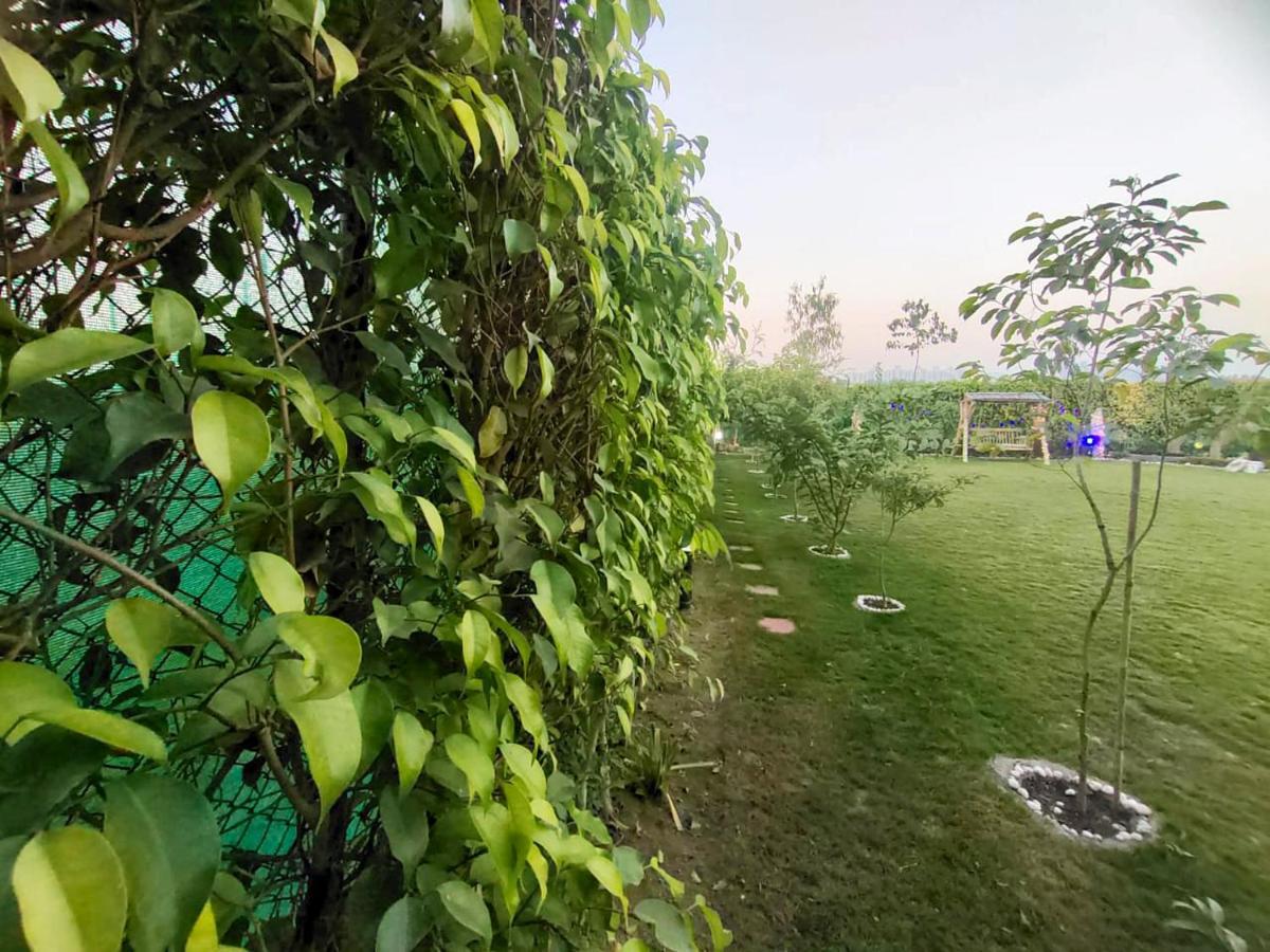 Shaw Estate-Farm House For A Small Parties-Jp Farm 大诺伊达 外观 照片